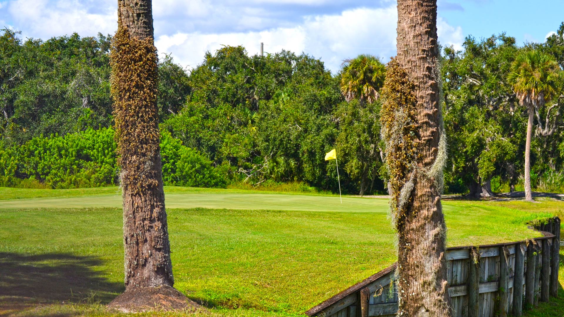 Image of golf ball on tee on grass.