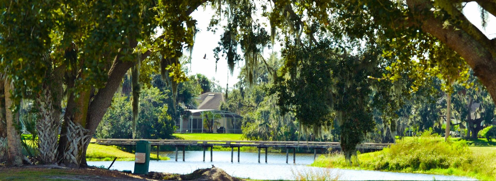 trees overlooking the golf course and bridge